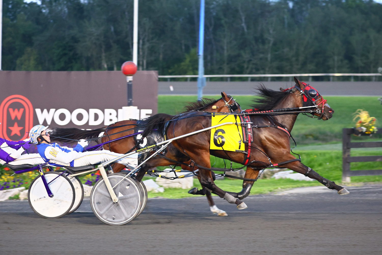 Its A Love Thing winning her Shes A Great Lady elimination. (New Image Media)