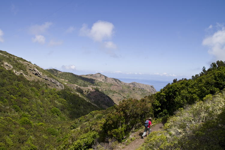 Palmar - Cumbre Bolico