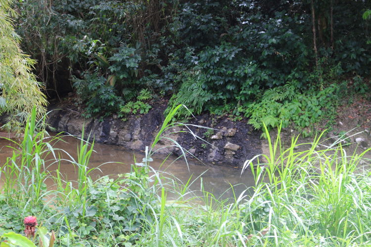 Run off of silt from the hillside into the river after the rain.