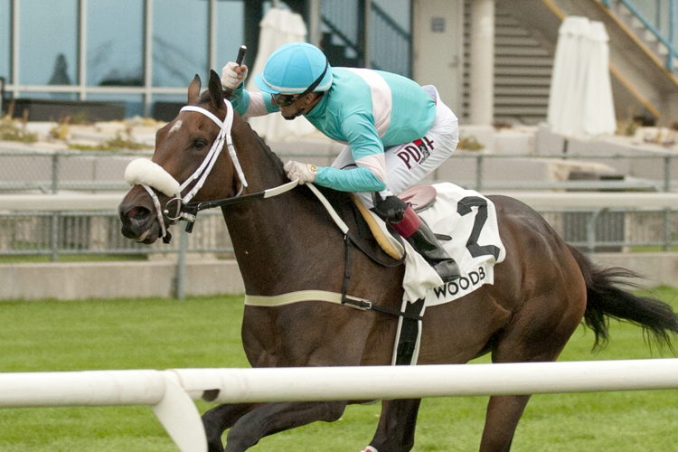 Moira and jockey Rafael Hernandez winning the Canadian Stakes on September 9, 2023 at Woodbine (Michael Burns Photo)