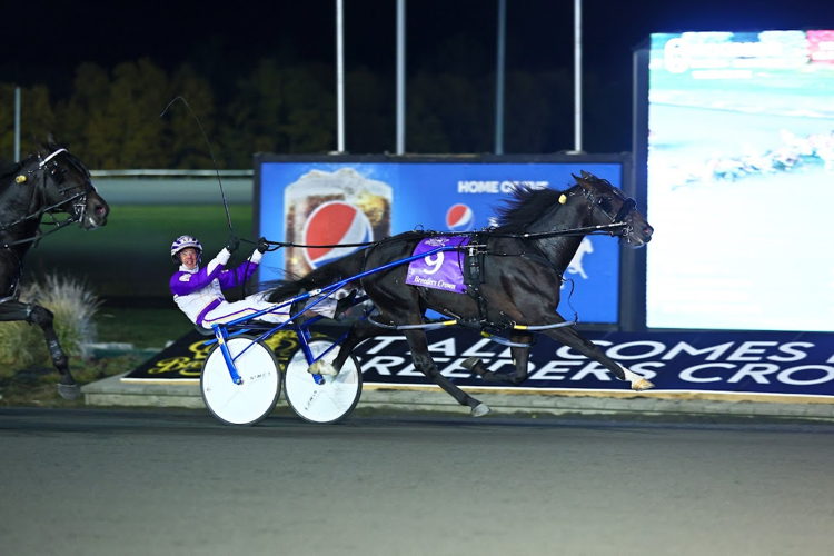 Ammo and driver Dave Miller winning the 2 year old colt pace Breeders Crown final (New Image Media)