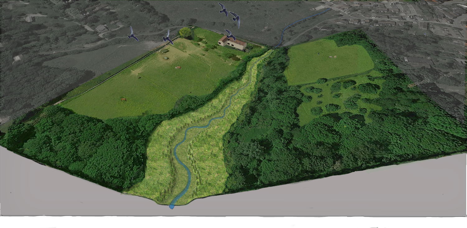 Visualisatie van een tussenstap in de ontwikkeling van de vallei