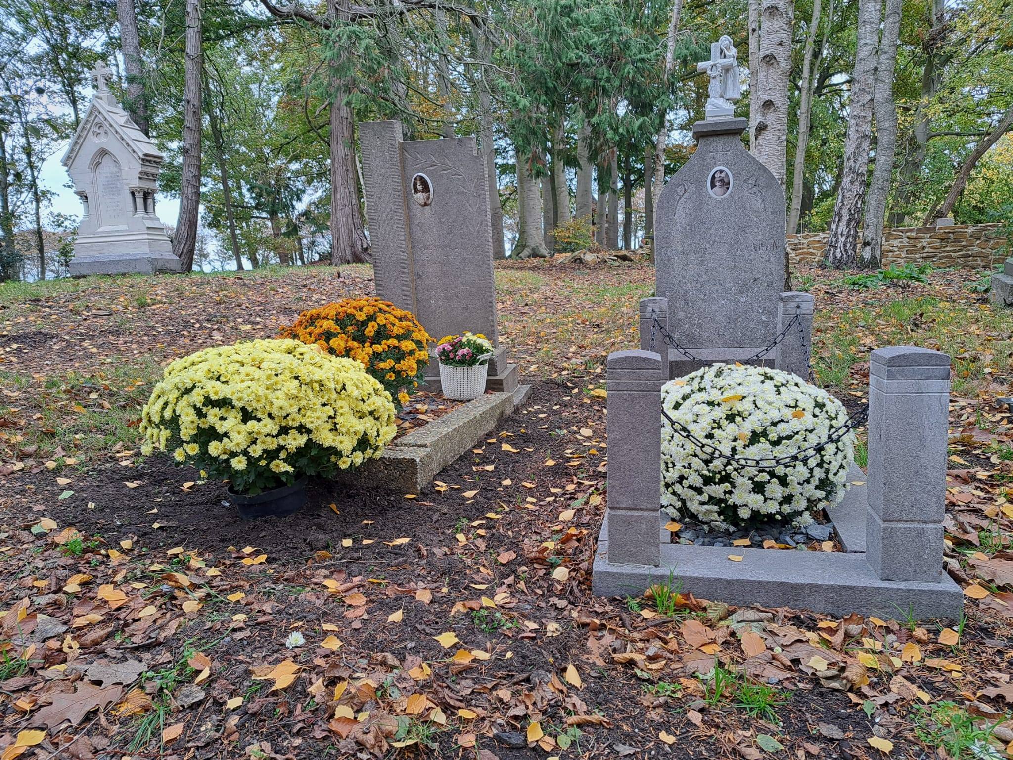 opgeknapte graven ©VLM opgeknapte graven ©VLM