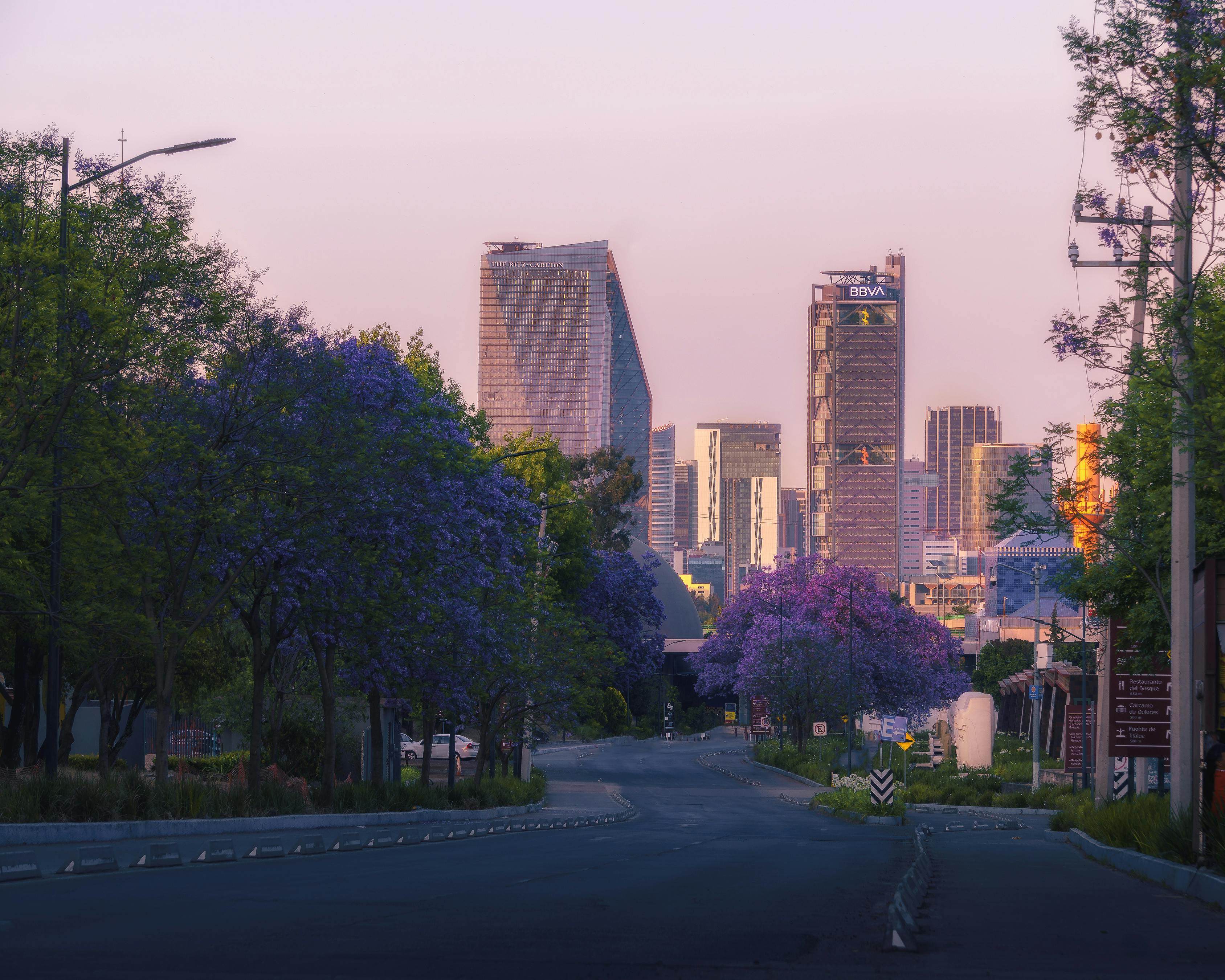 Las colonias con más parques en la Ciudad de México