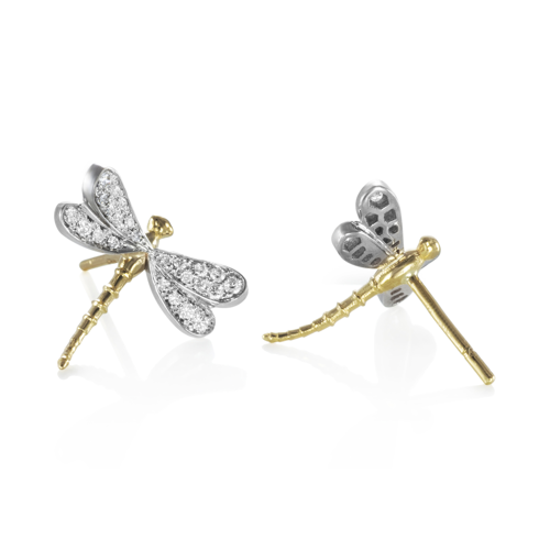 Mère et fille- Puce-d-oreilles-libellules-14-mm-et-11-mm-003 (5)