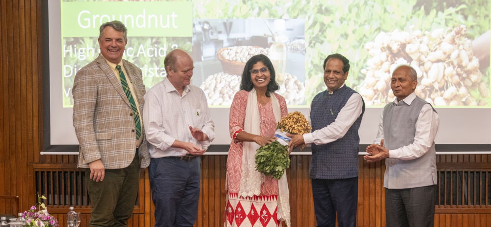 ICRISAT crop breeders recognized for developing new varieties.