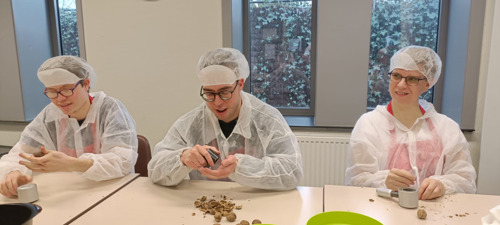 8.000 kilo walnoten van Cera-Notenkrakkenactie geven meer dan 100 sociale ateliers zinvol werk