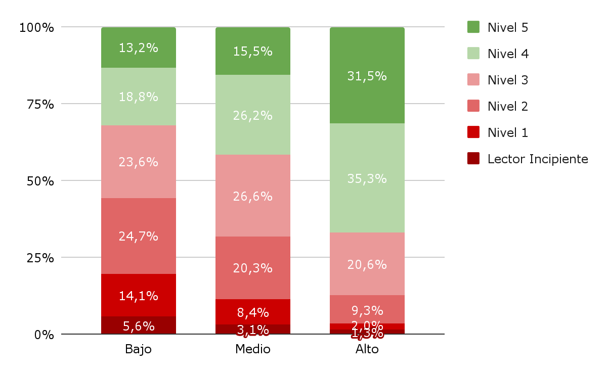 Gráfico 4. Porcentaje de estudiantes en los distintos niveles de desempeño en Lectura. 3º grado. Por Nivel socioeconómico. Año 2024.