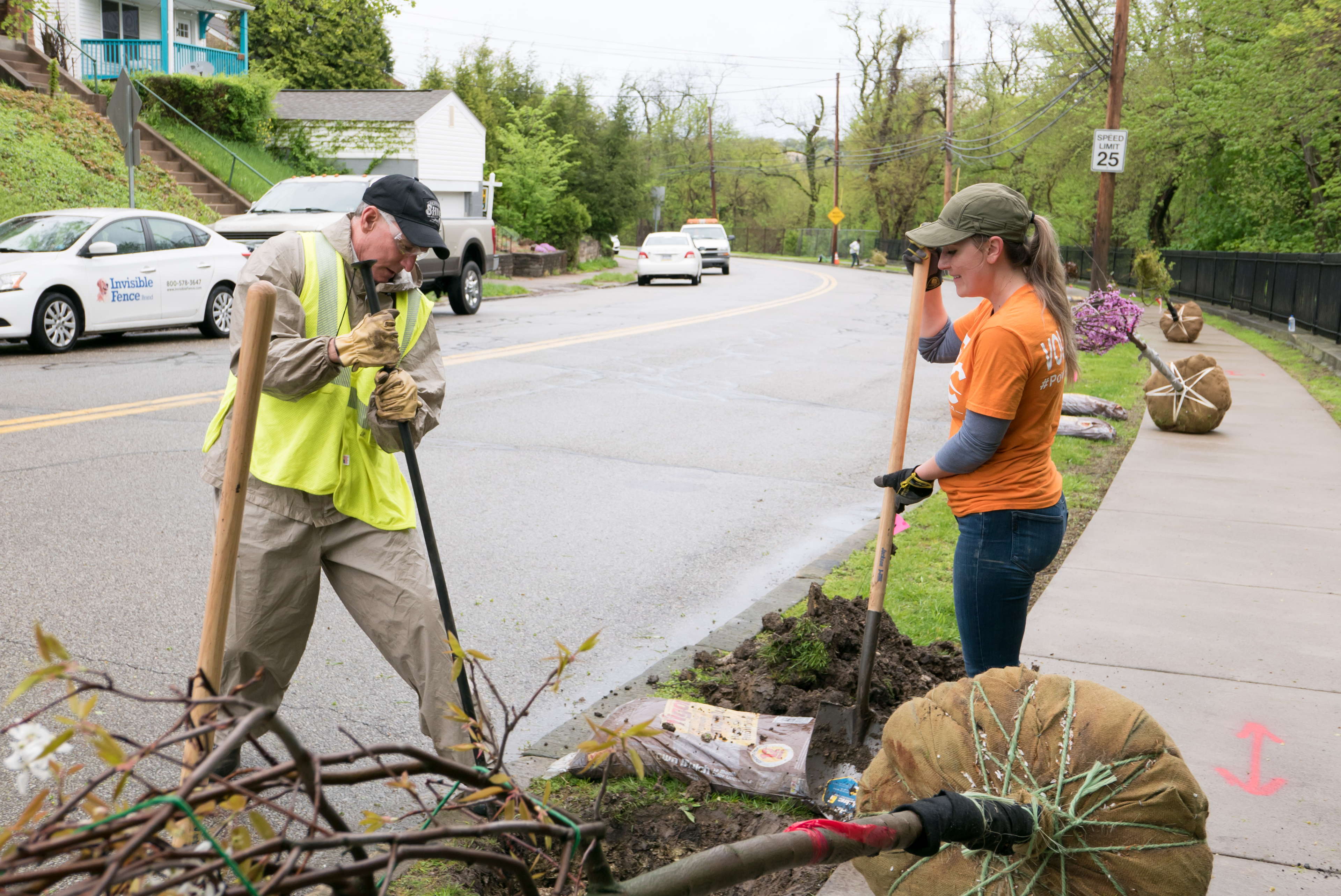 When Planting Trees, Remember “Right Tree, Right Place”