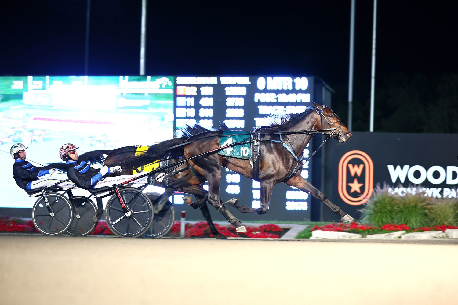 Winners Bet winning the William Wellwood Memorial. (New Image Media)