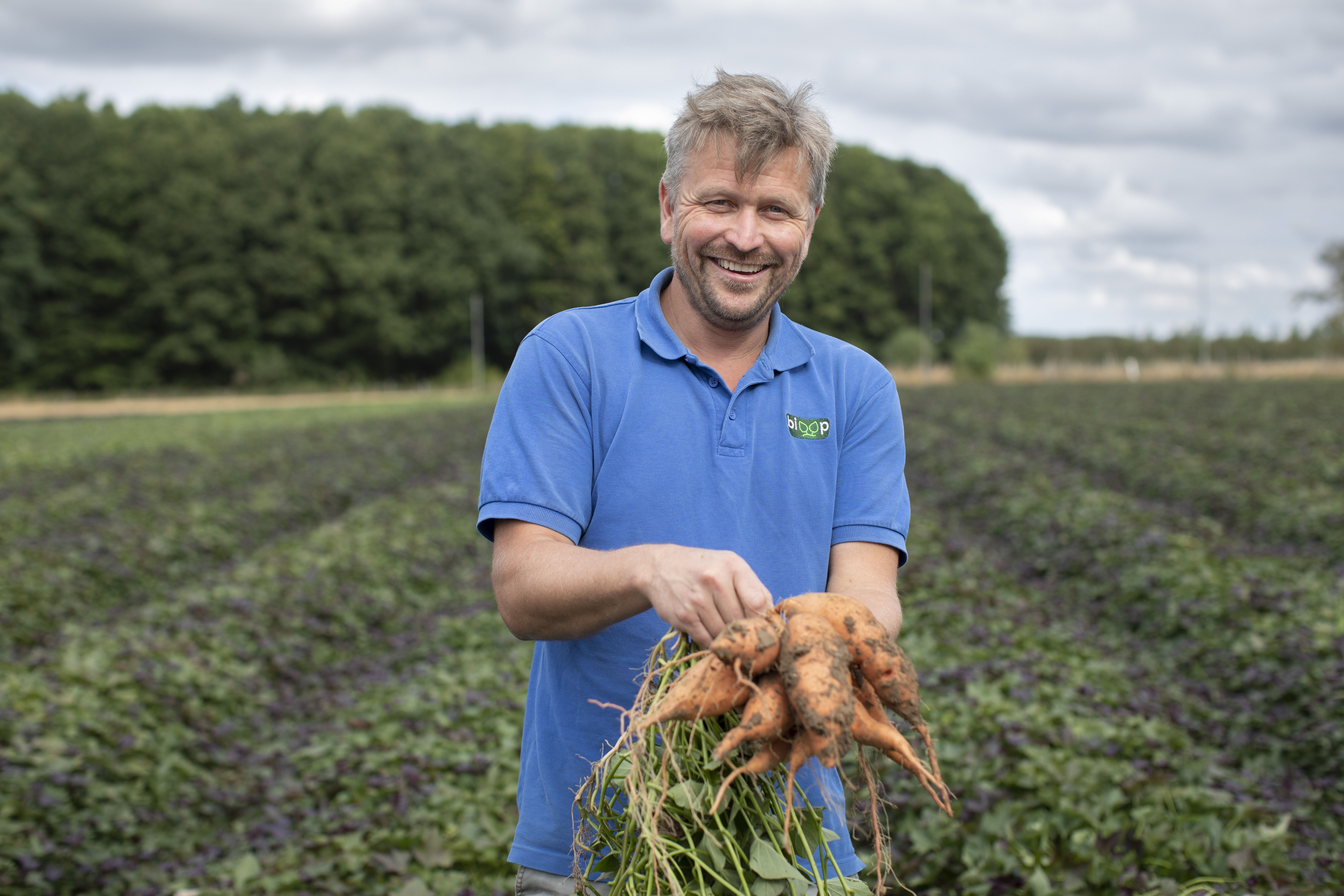Men kan een oogstaandeel kopen van landbouwer David van Haute uit Opwijk. Op de foto toont David zijn zoete aardappelen-oogst.