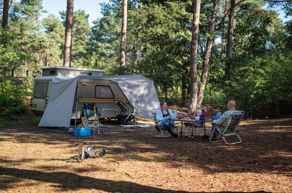 Landal Coldenhove camping