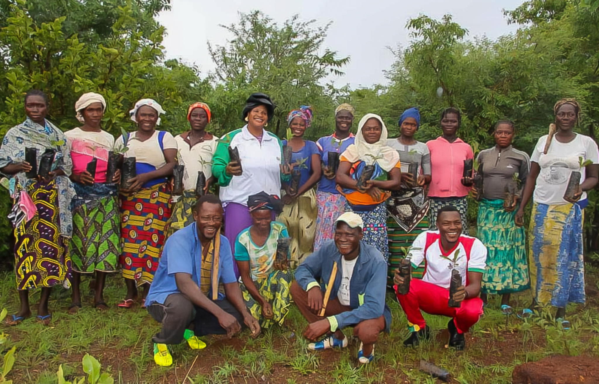 Empowering Women’s Associations to Combat Land Degradation and Achieve Carbon Market Success