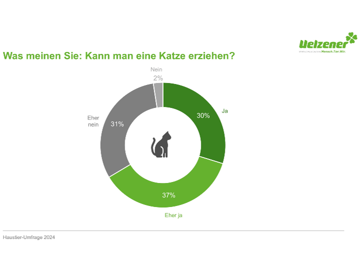 Mythos Katzen: Einzelgänger oder Partner des Menschen? 