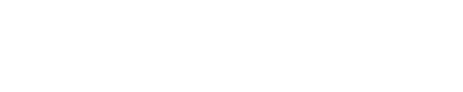 Ditto MGMT logo - White Transparent