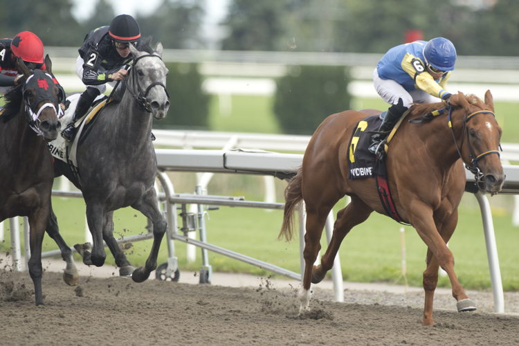 Foolish Games and jockey Omar Moreno winning the Thunder Bay Stakes on July 30, 2023 at Woodbine (Michael Burns Photo)
