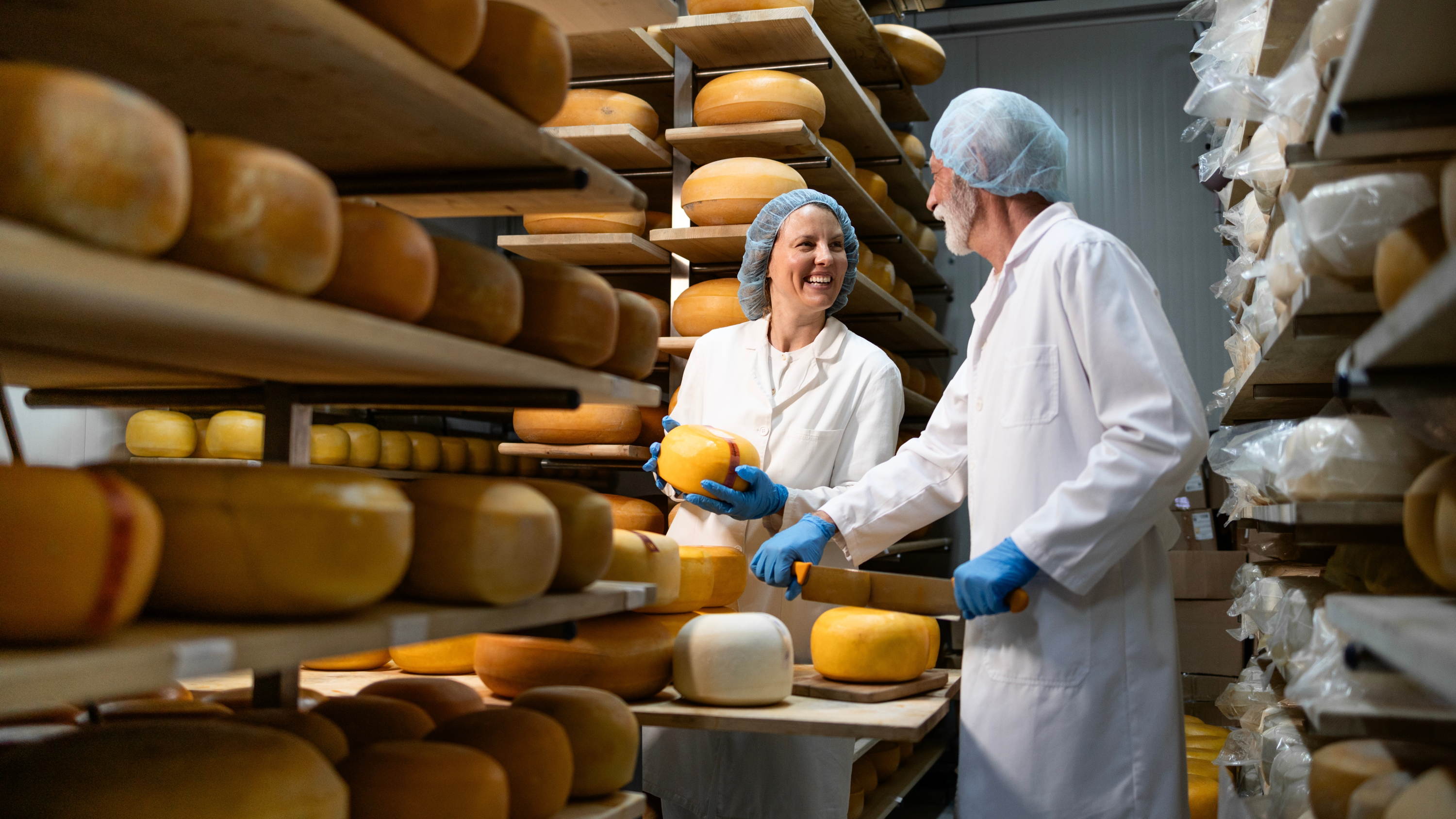 VUB research highlights the importance of the brining bath in Gouda production