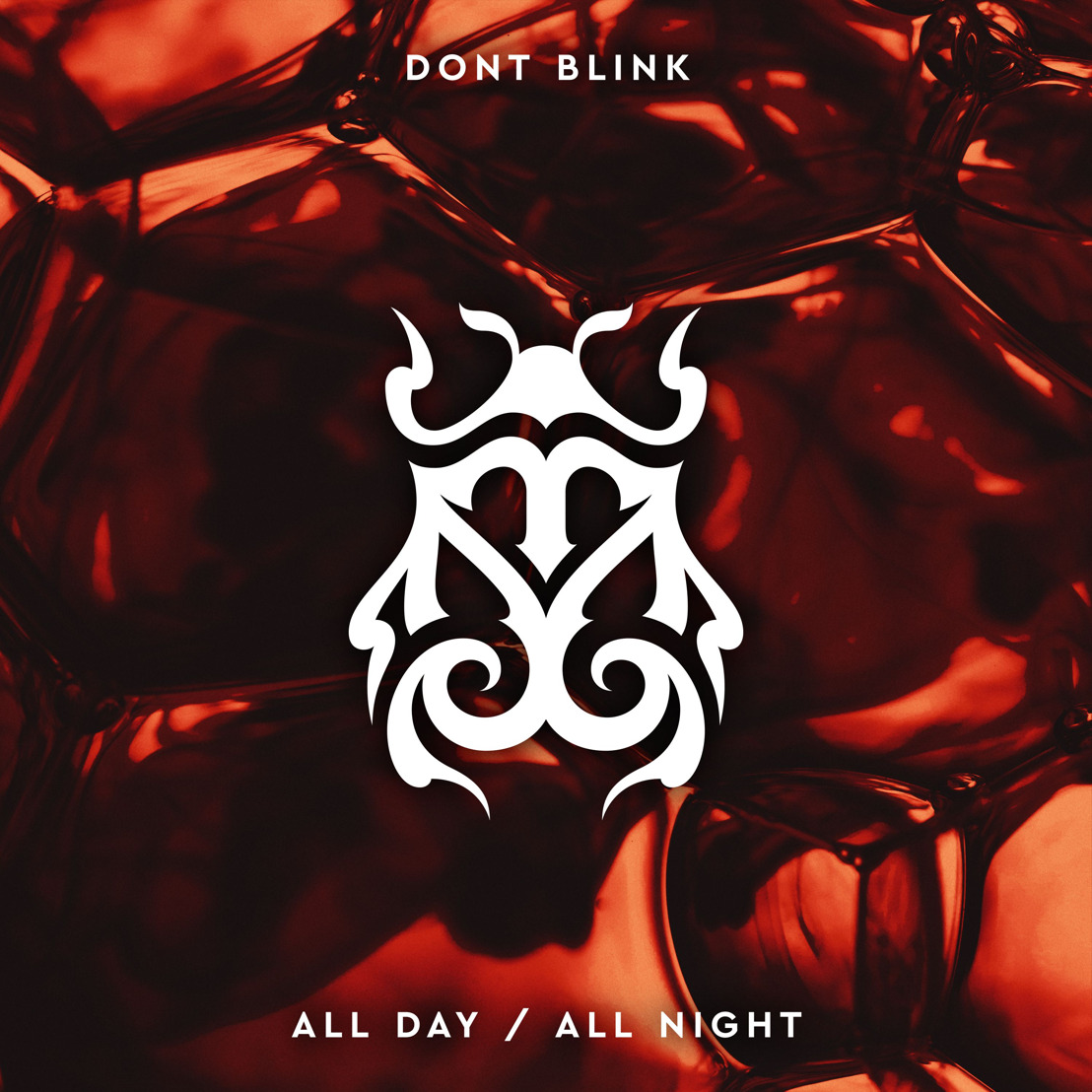 DONT BLINK deliver an infectious tech house floor filler ‘ALL DAY / ALL NIGHT’