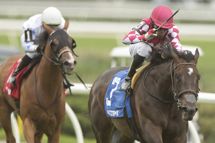 Conman and jockey Patrick Husbands winning the Hamilton Stakes on August 6, 2023 at Woodbine (Michael Burns Photo)