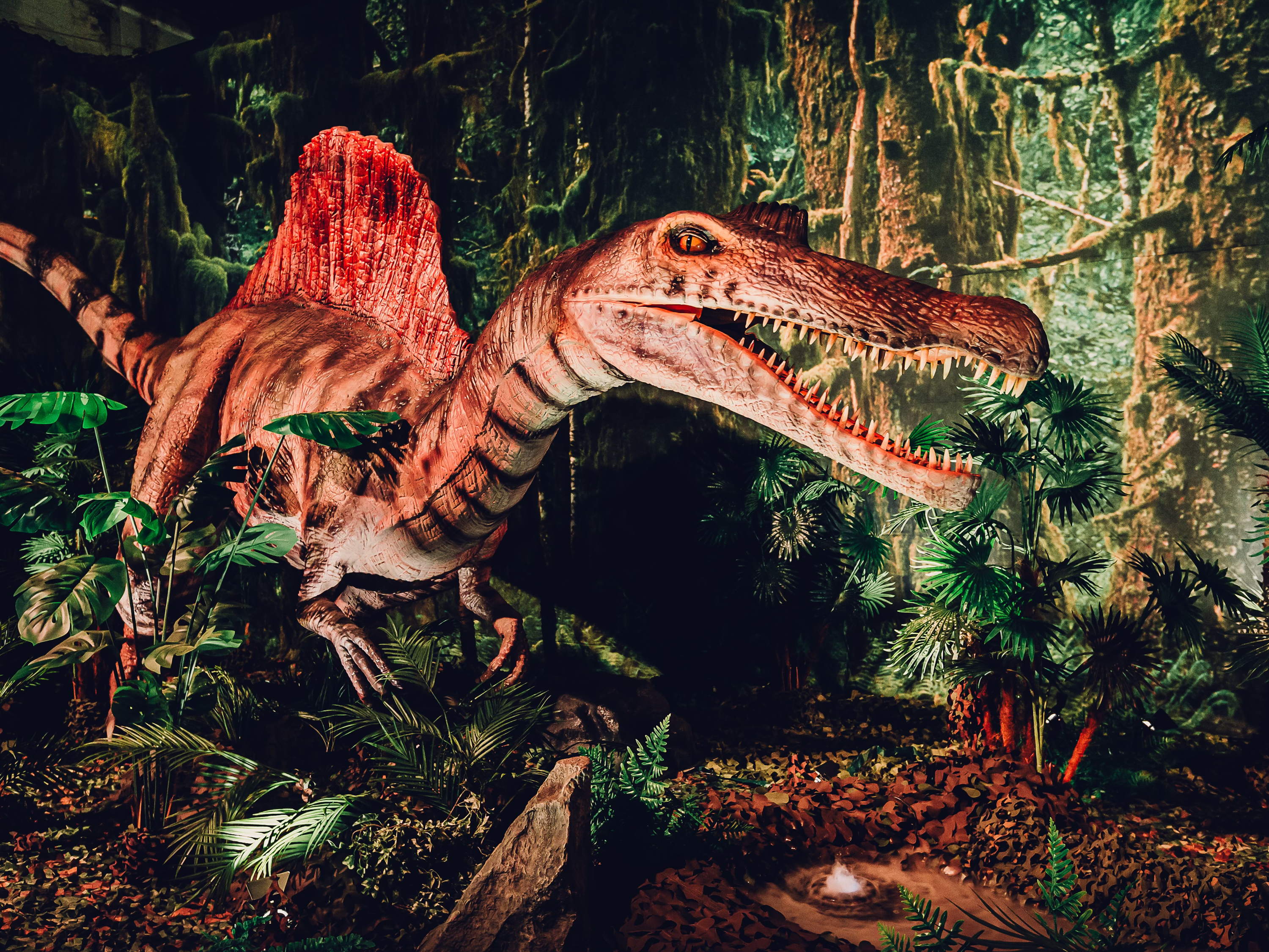 Dinosaurussen veroveren Brussel: DINO WORLD opent 7 juni 