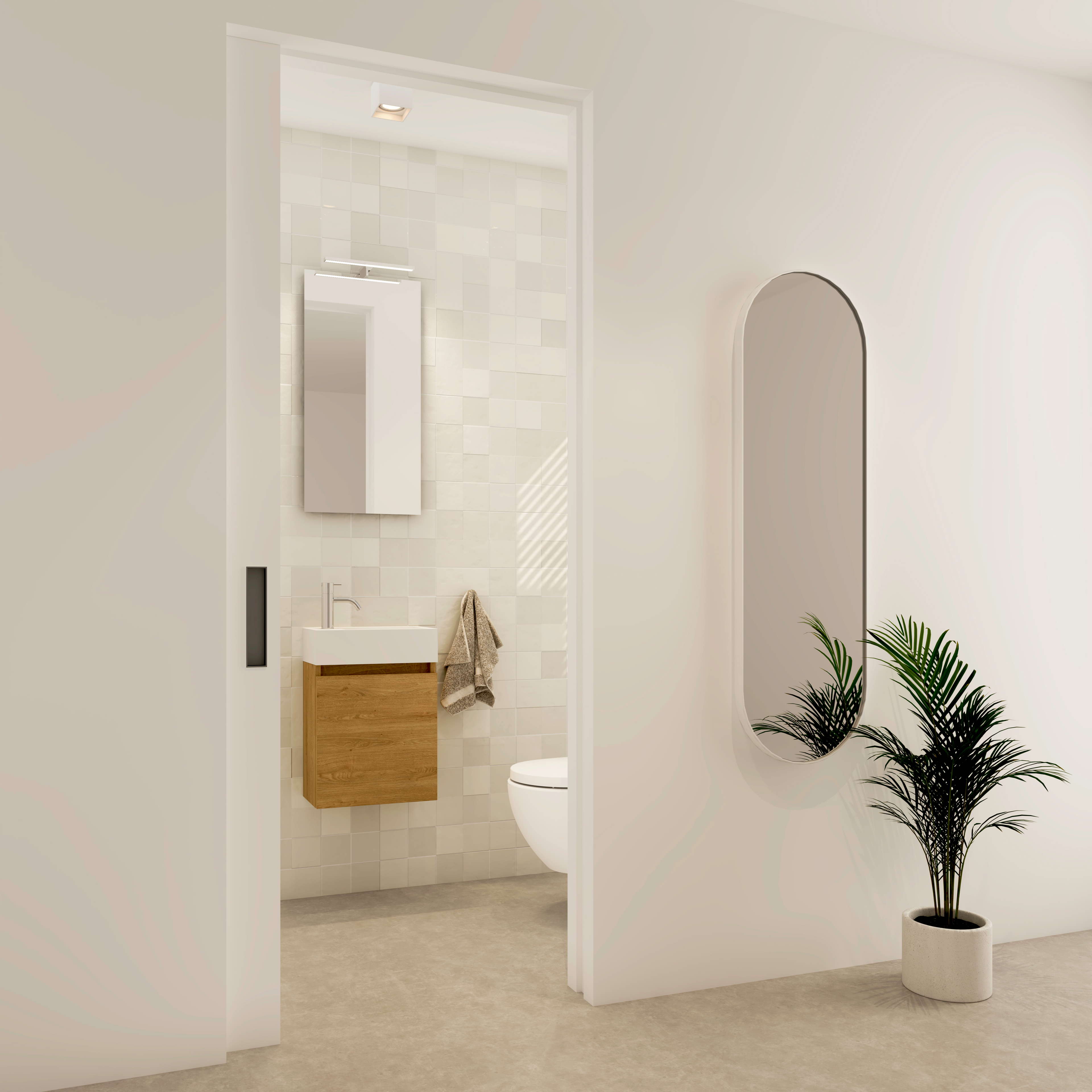 Guest toilet