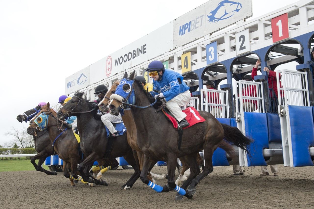 Horses exit the gate for the opening race of the 2023 season. (Michael Burns Photo)