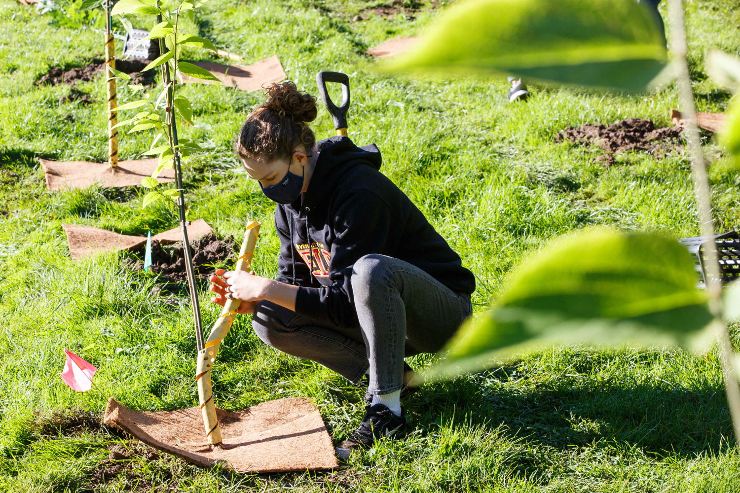 Volunteer planting trees. Trees for Life & University of Guelph planting event - Sept 29