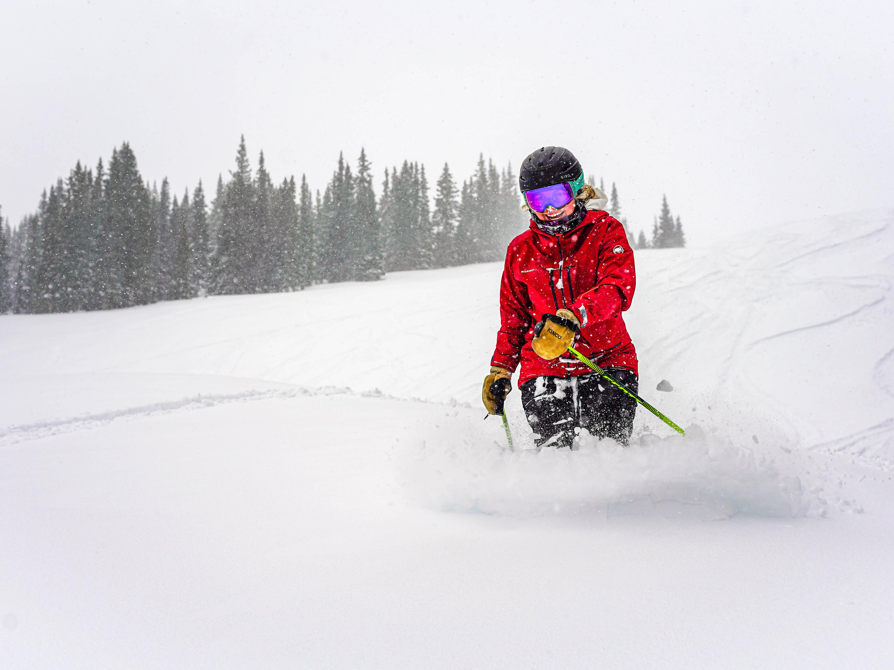 Fresh Year, Fresh Tracks