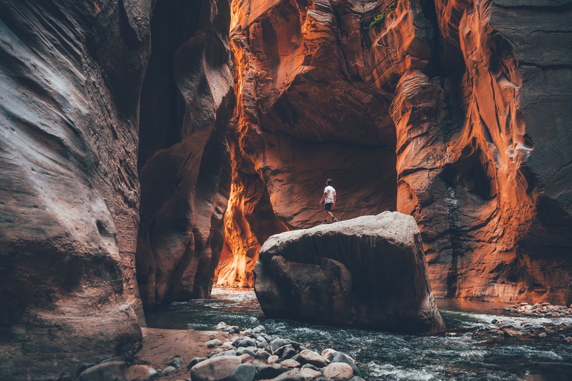 Lenart Pagel Photography Lenart Pagel Photography