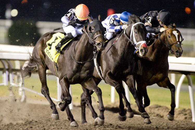 Notorious Gangster and jockey Fraser Aebly winning the Coronation Futurity on November 30, 2024 at Woodbine (Michael Burns Photo)