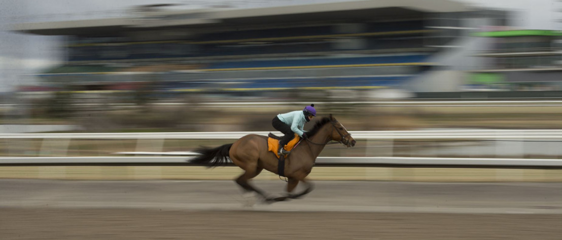 Woodbine to open season as scheduled for first time since 2019