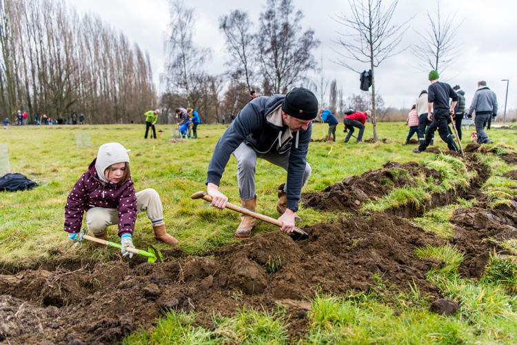 Aanplanting voedselbos © Dries Luyten