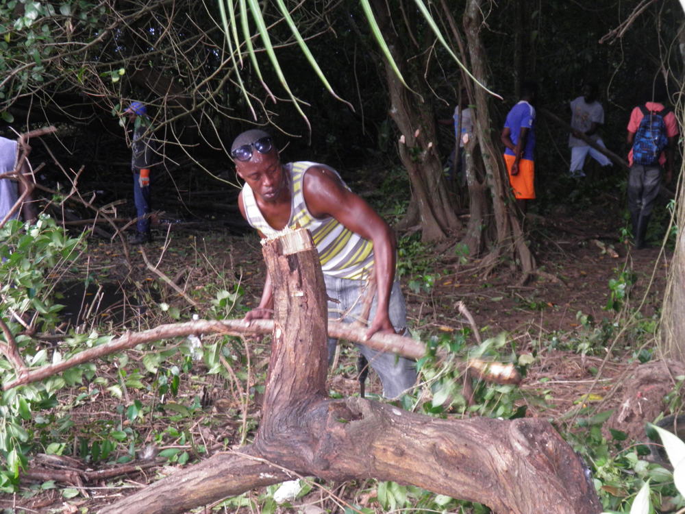 BEFORE: Community workers begin to clear the encroaching mangrove.