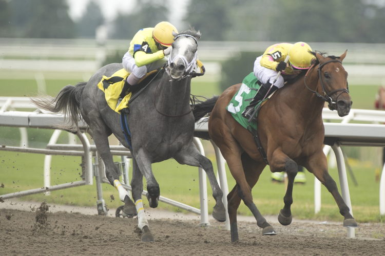 Turf King and jockey Kazushi Kimura winning the Marine Stakes on July 1, 2023 at Woodbine (Michael Burns Photo)