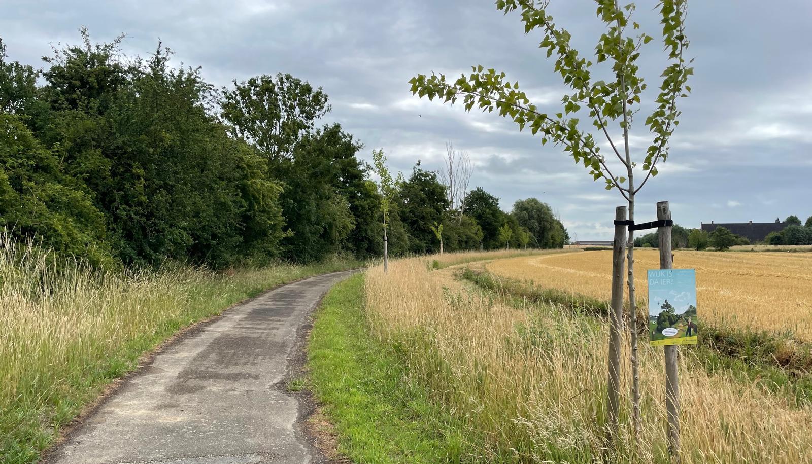 Vierde oproep houtkanten versterkt biodiversiteit en klimaatbestendigheid verder 