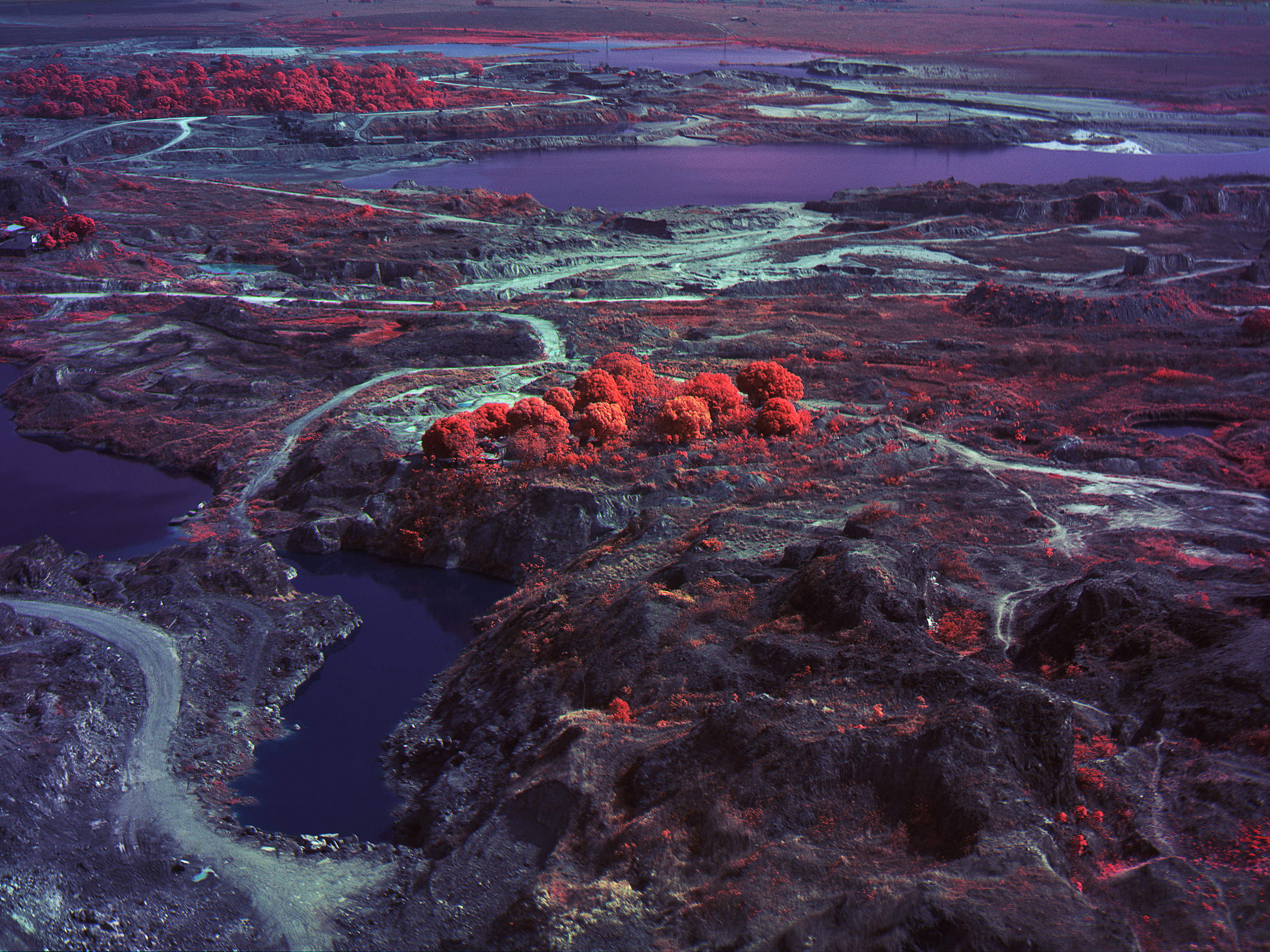 Richard Mosse: Broken Spectre