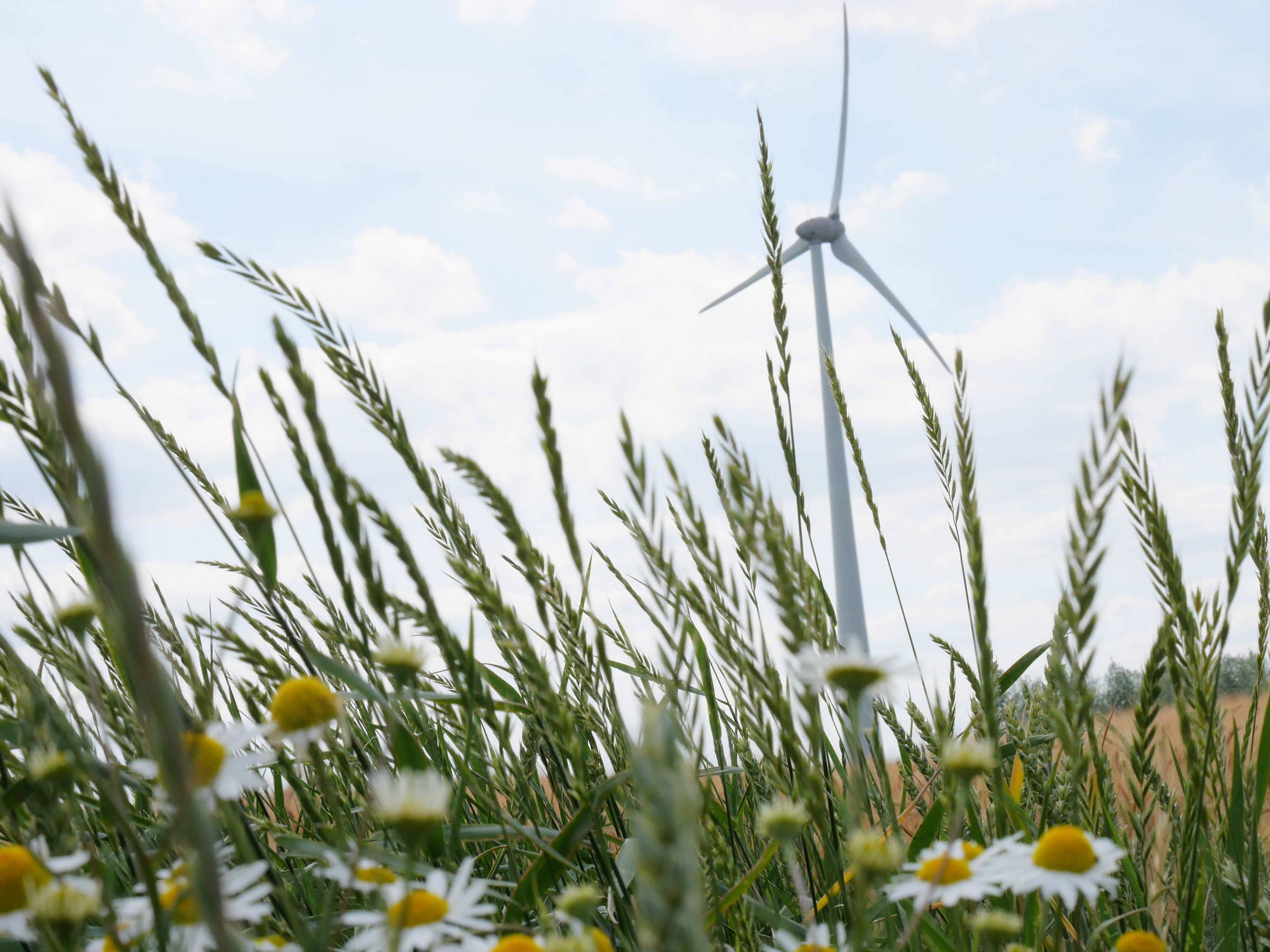 Een project van 6 nieuwe windturbines in Bastogne en Vaux-sur-Sûre
