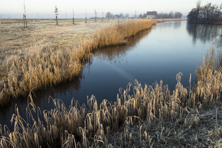Meetjesland Krekengebied - Molenkreek  (© Ludo Goossens)