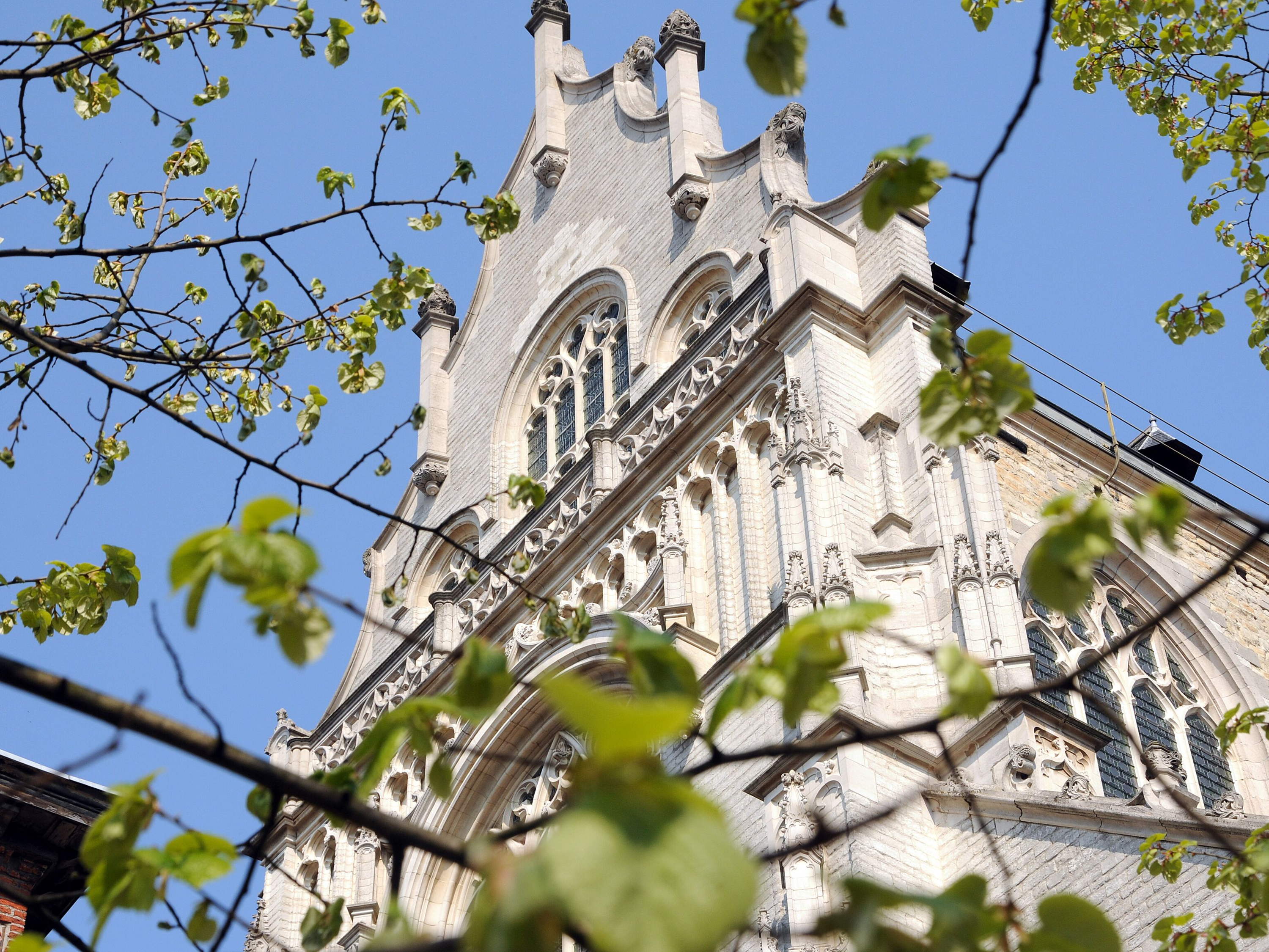 Antwerpen stelt nieuw kerkenbeleidsplan voor met aandacht voor erfgoed, buurtfunctie én duurzaamheid van Antwerpse kerkgebouwen 