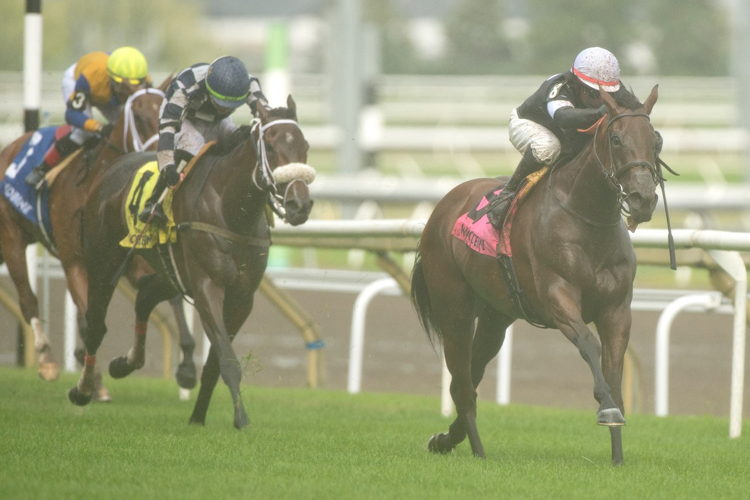 Fev Rover and jockey Patrick Husbands winning the Nassau Stakes on July 1, 2023 at Woodbine (Michael Burns Photo)