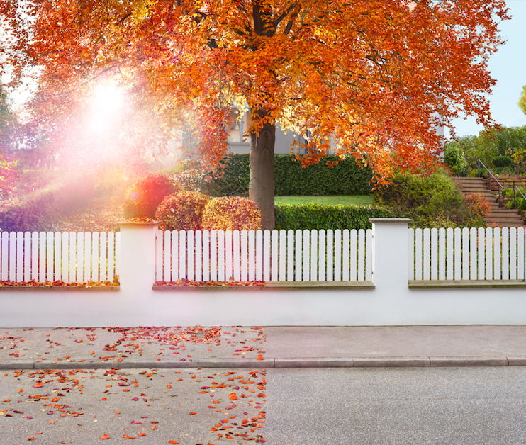 Cómo vencer al polvo de otoño que invadirá tu hogar esta temporada