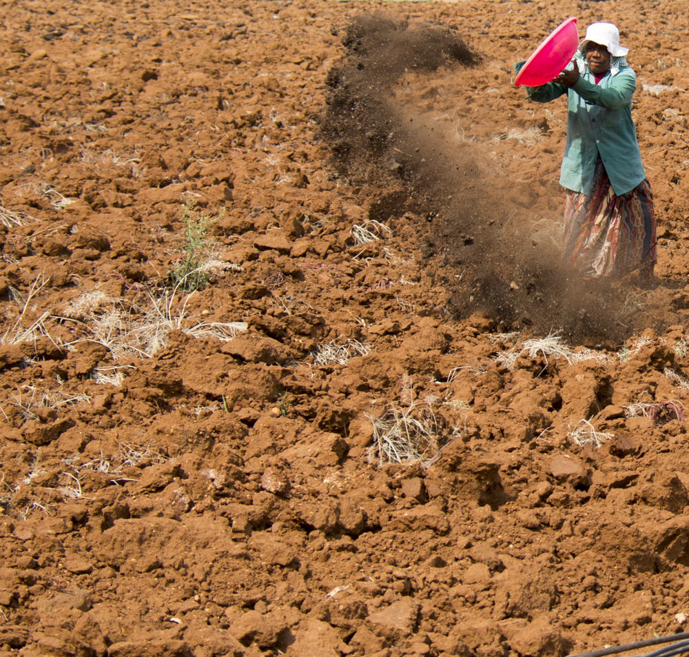 Soil Management