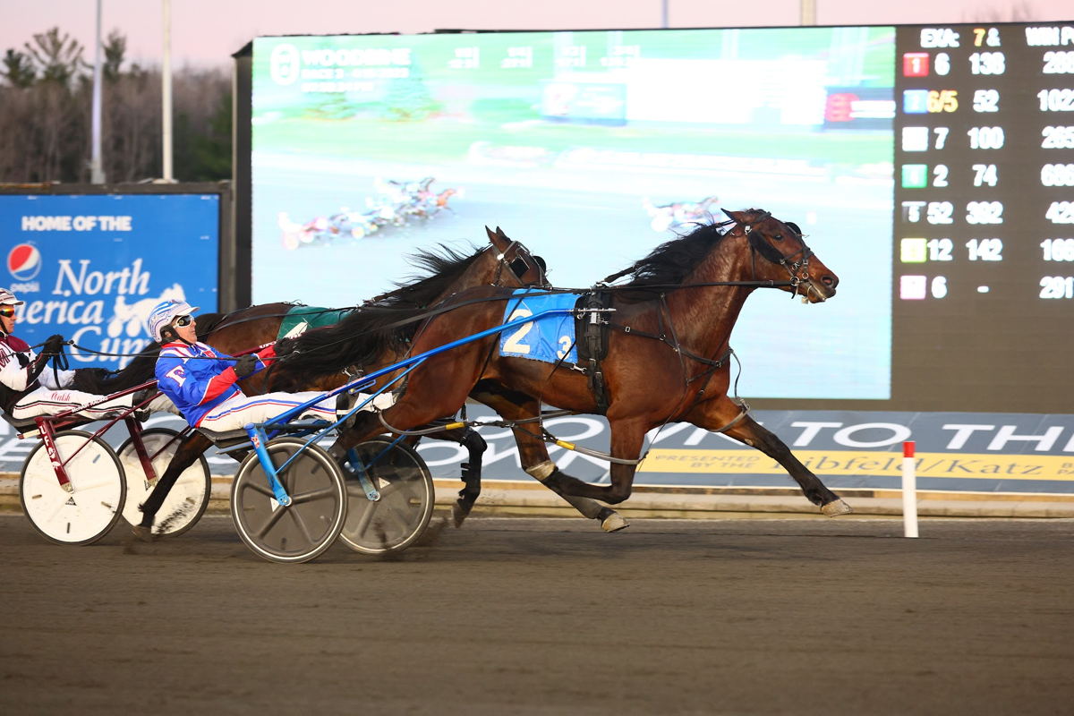 Cold Creek Queso will look to continue his perfect start to 2023 in Saturday's Ontario Graduate Series final. (New Image Media)