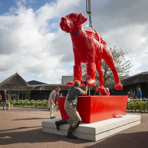 Plaatsing Rode Hond Hof van Saksen