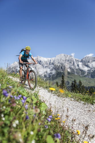 Zomer in Maria Alm - mountainbike