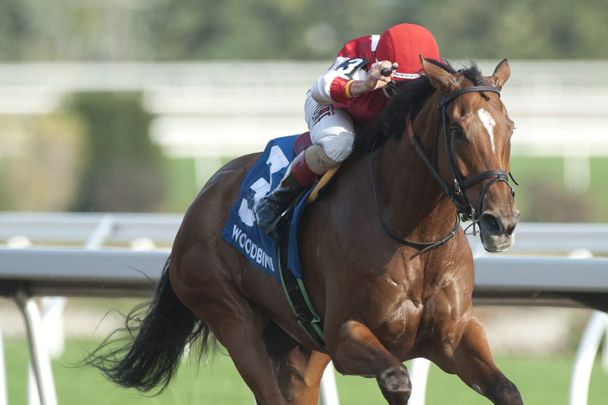 Rafael Hernandez guides Summer Sunday to the winner's circle after winning the 2020 Belle Mahone Stakes at Woodbine. (Michael Burns Photo)