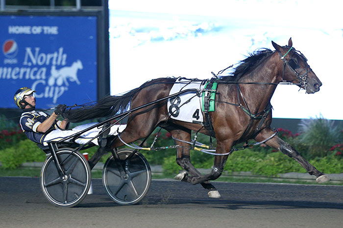 Stonebridge Helios winning a division of the Champlain Stakes in September 2021 at Woodbine Mohawk Park. (New Image Media)