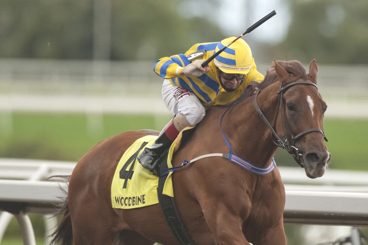 Pink Lloyd captures the 2021 Bold Venture Stakes at Woodbine. (Michael Burns Photo) 