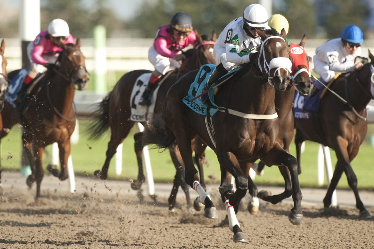 Moira and Justin Stein earn an impressive victory in the 2021 Princess Elizabeth Stakes at Woodbine. (Michael Burns Photo)