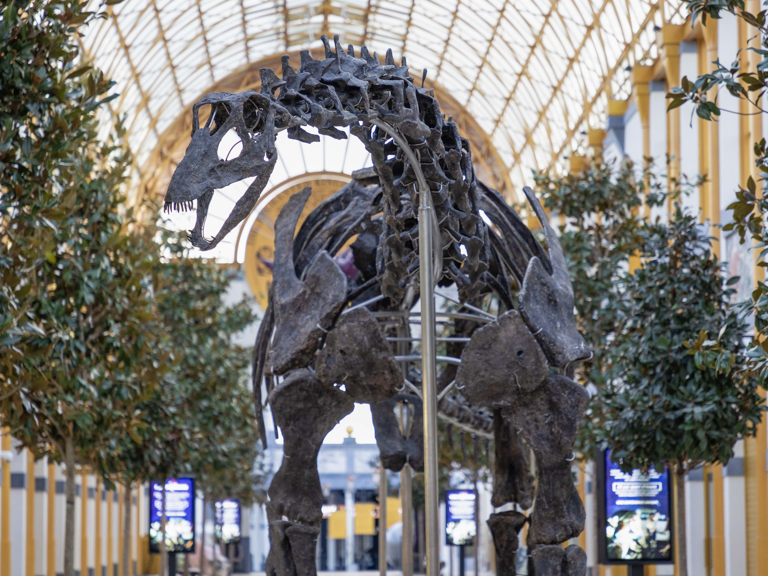 Pairi Daiza onthult een fascinerende prehistorische wereld: Prehi Daiza, The Lands of The Past!